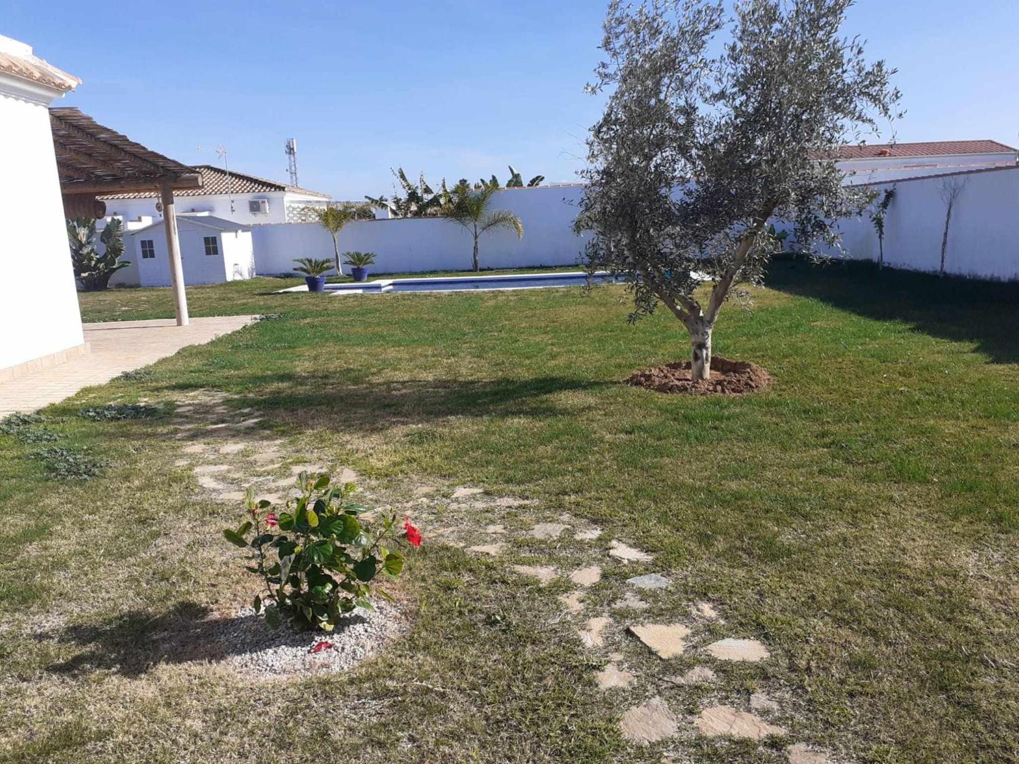 Las Casitas De La Barrosa Con Jardin Y Piscina Chiclana de la Frontera Værelse billede