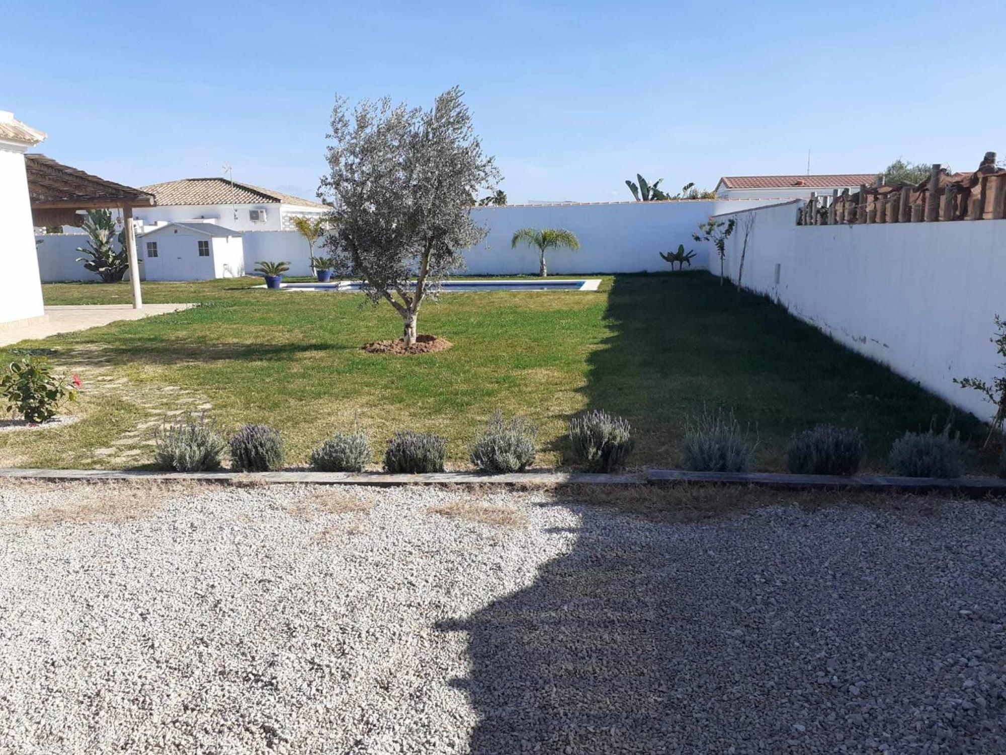 Las Casitas De La Barrosa Con Jardin Y Piscina Chiclana de la Frontera Værelse billede